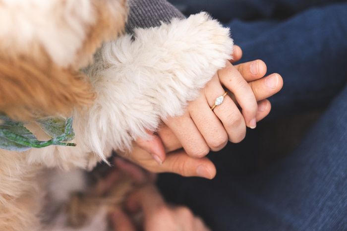 Engagement photos- how'd you post / use them? - 4
