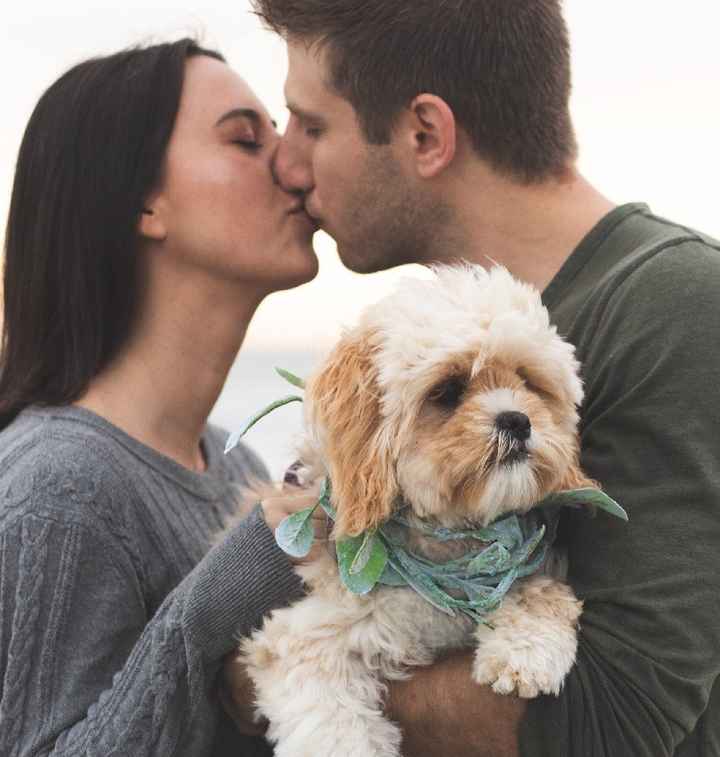 Engagement photos- how'd you post / use them? - 2