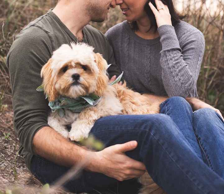 Engagement photos- how'd you post / use them? - 3