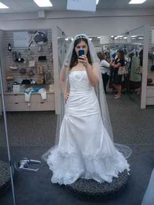 Calling all David's Bridal Brides... Let's see all the dresses and see who's dress twins! :D