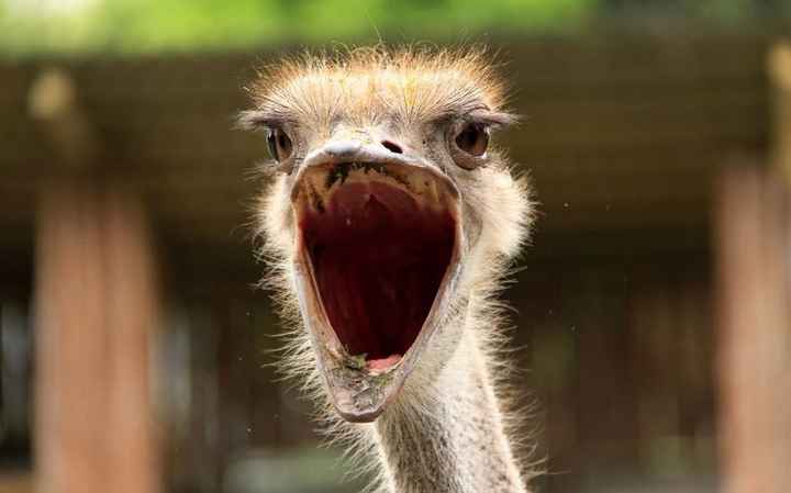 I am FREAKING OUT! Helpp!!