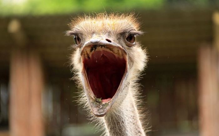 I am FREAKING OUT! Helpp!!