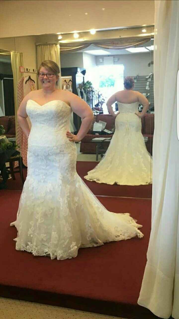 MY DRESS CAME IN.....AND 2 MONTHS EARLY!!