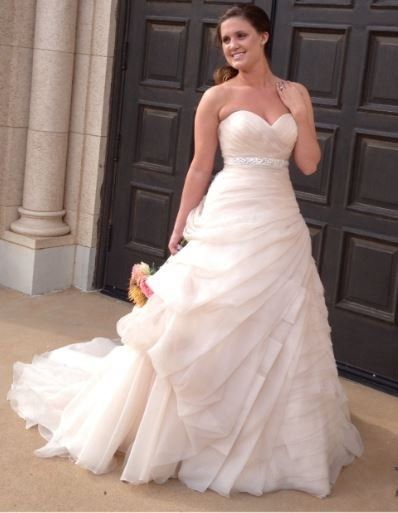 Anyone have there wedding dress picked out? Pics?