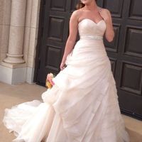 Anyone have there wedding dress picked out? Pics?