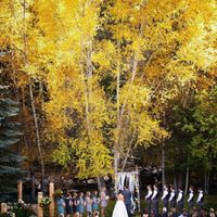 Input please! Colors and centerpieces for fall mountain wedding