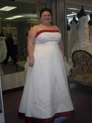 Alfred Angelo's "Tealness..." What do you think??