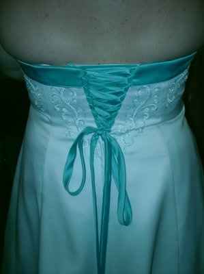 My dress is in and it is AH-MAZING!!!