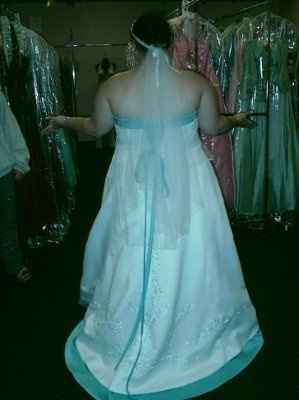 What does your dress look like? Post pics or give style number. I want to know what the trend is!