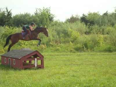 For animal lovers, brag about your animals!!