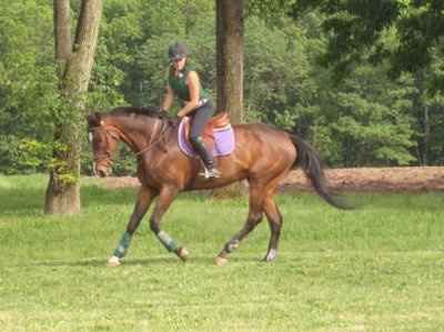 For animal lovers, brag about your animals!!