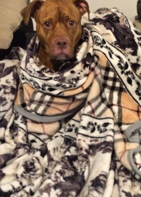 Nwr: my pup