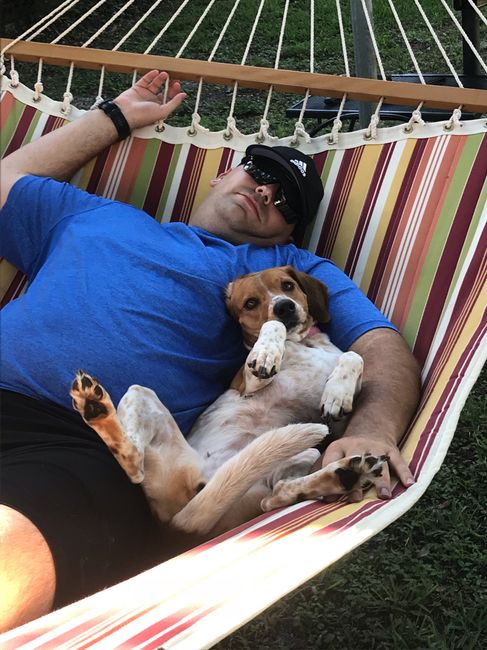 Show me your fiance and pet - 1