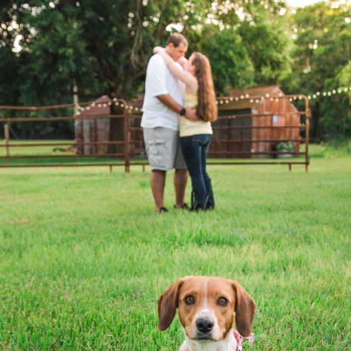 Happy Friday! Let’s show off our engagement pictures! - 2