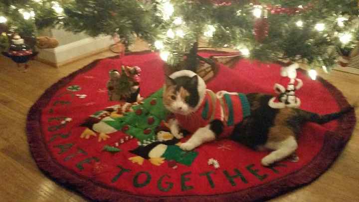 I LOVE my fur baby!