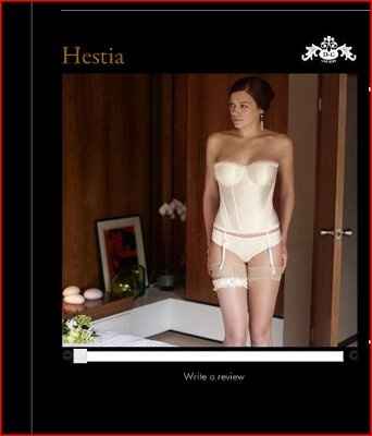 Wedding Dress Bridal Lingerie- I Want Your Opinions