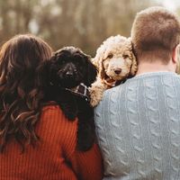 Show me your pet! - 2