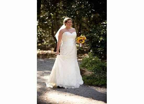 Where are my plus size brides?