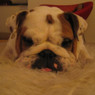 Judy.Chien