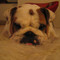 Judy.Chien