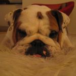 Judy.Chien