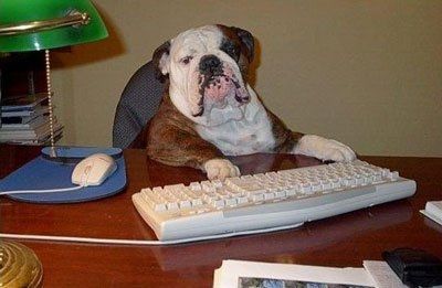 Why are there no Friday animal funnies?