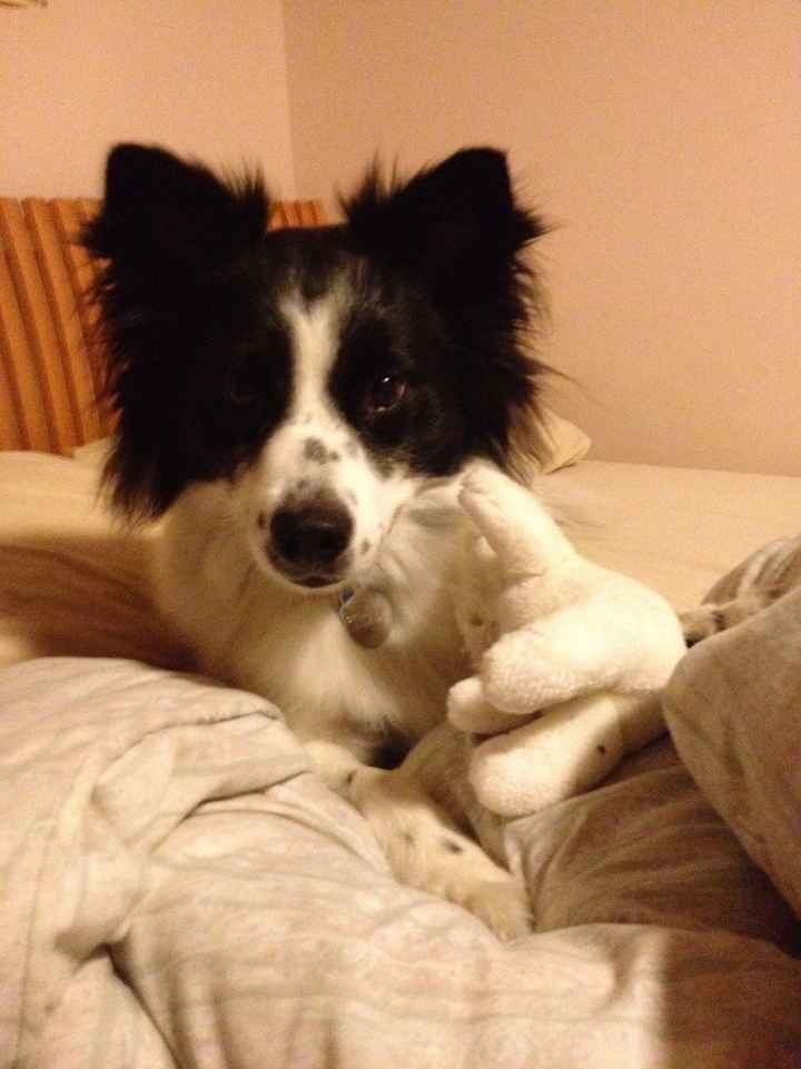 NWR- show me your pet!