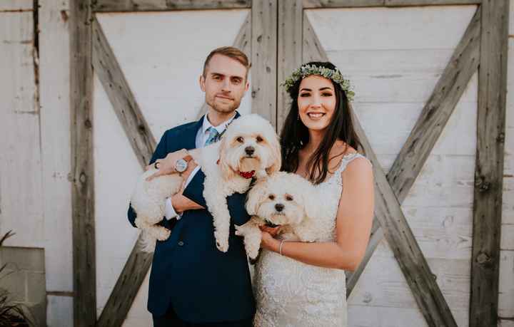 Sneak Peek of Wedding Pictures - 1