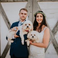 Sneak Peek of Wedding Pictures - 1