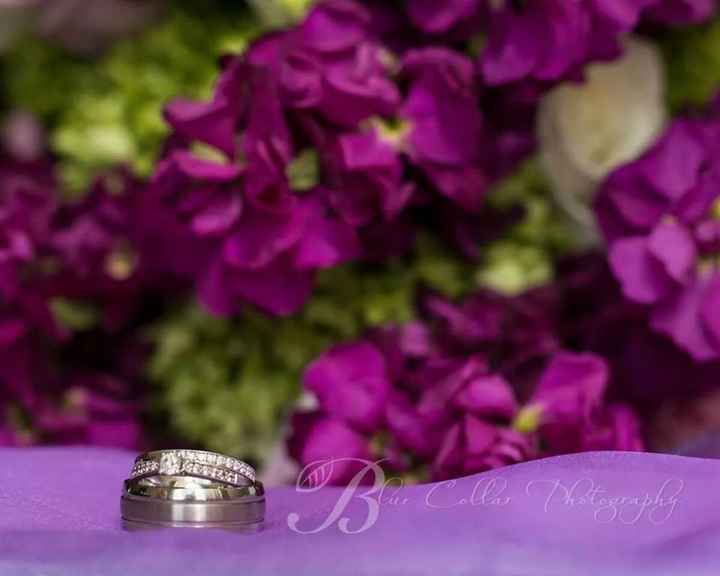 BAM! Professional and non professional pictures