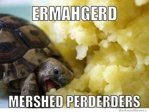 Friday Animal Humor