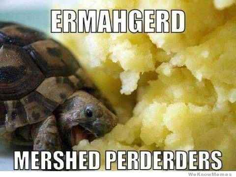 Friday Animal Humor