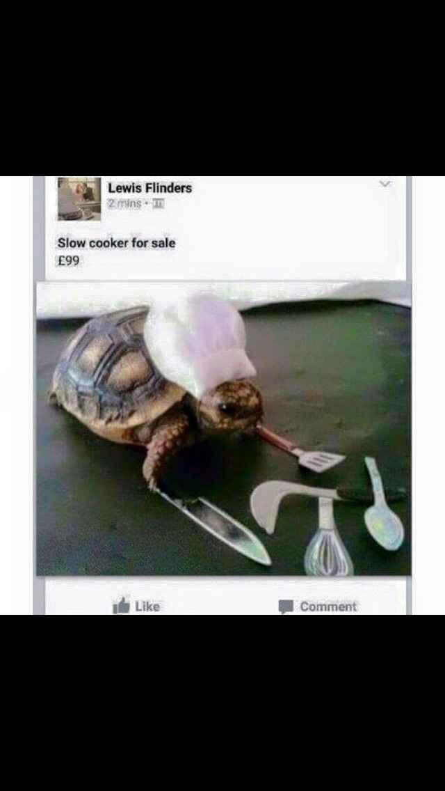 NWR: Memes for my sanity