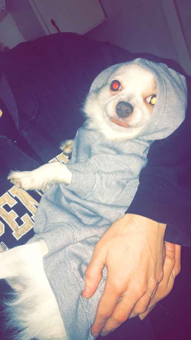 Let me see those fur babies!