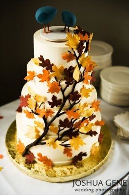 What do your cake looks like?