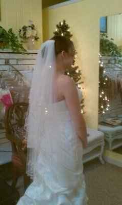 What style veil with your dress? pics if you have em please!
