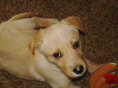 *NWR* Post pics of your furry (or not so furry) kids!