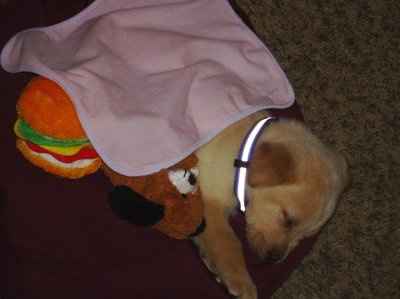 *NWR* Post pics of your furry (or not so furry) kids!