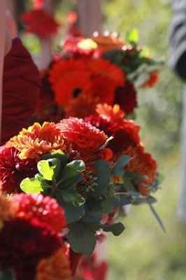 Flower Dilemma! Grr