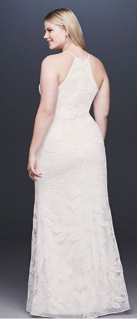 Back of Dress