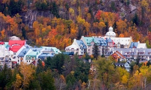 Honeymoon in Canada anyone?