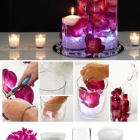 Beta Centerpiece