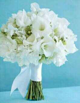 HELP! Bouquets out of Gladiolus flowers?!