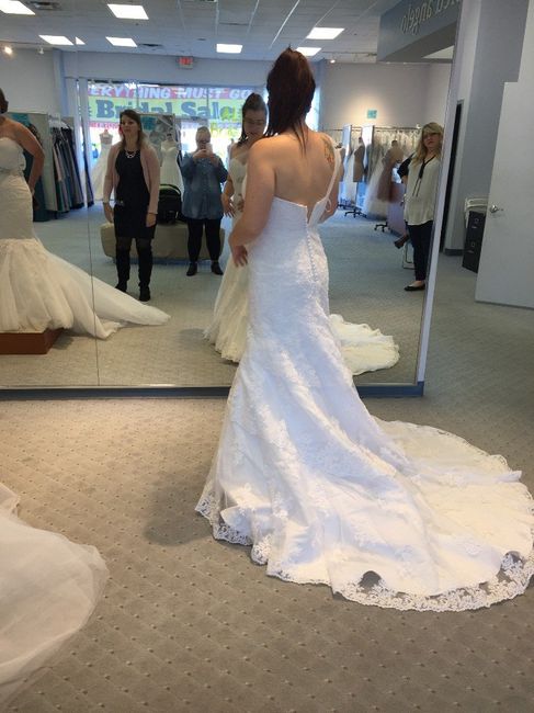 Back of Dress