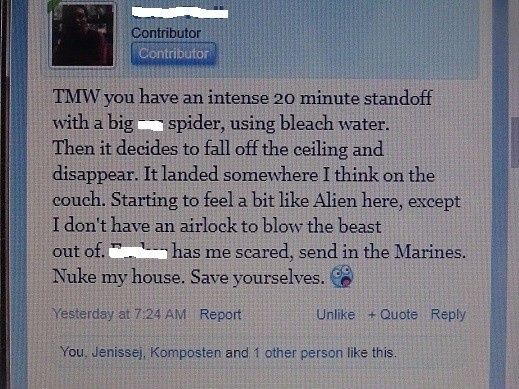 Who's in charge of dealing with spiders? 1