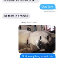 Fiancé(e) Friday! What was the last text you sent your fiancé(e)? - 1