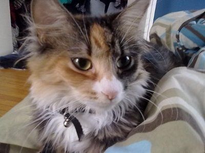 NWR: Show off your fur baby!