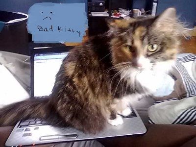 NWR: Show off your fur baby!