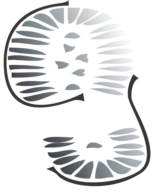 Logo Design Help