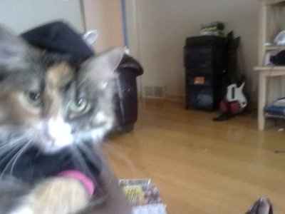 NWR: Show off your fur baby!
